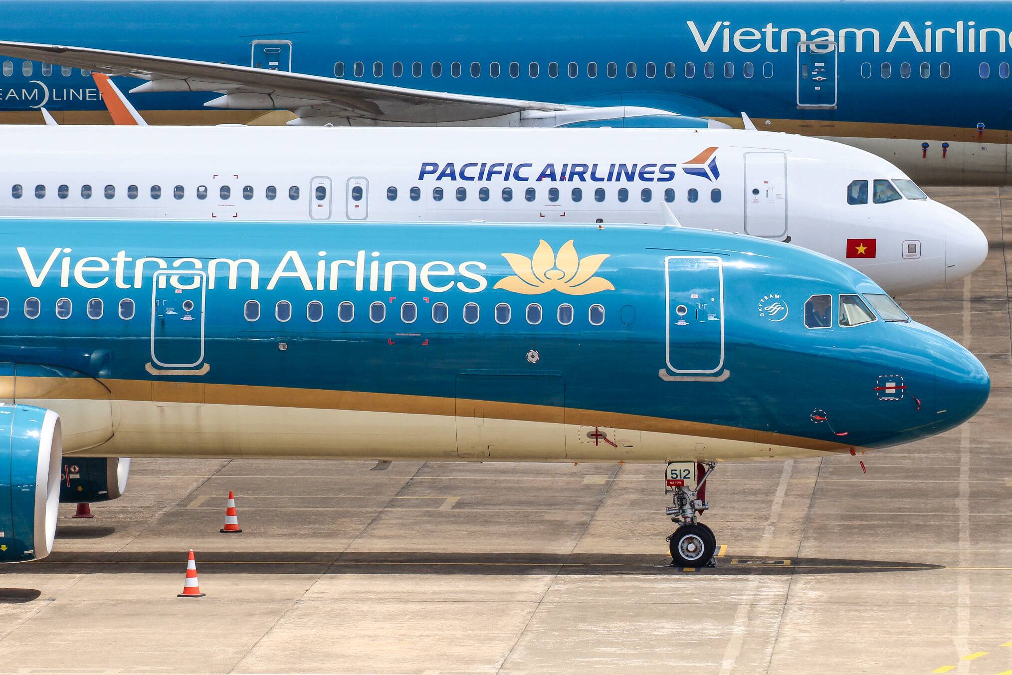 Обзор авиакомпании vietnam airlines