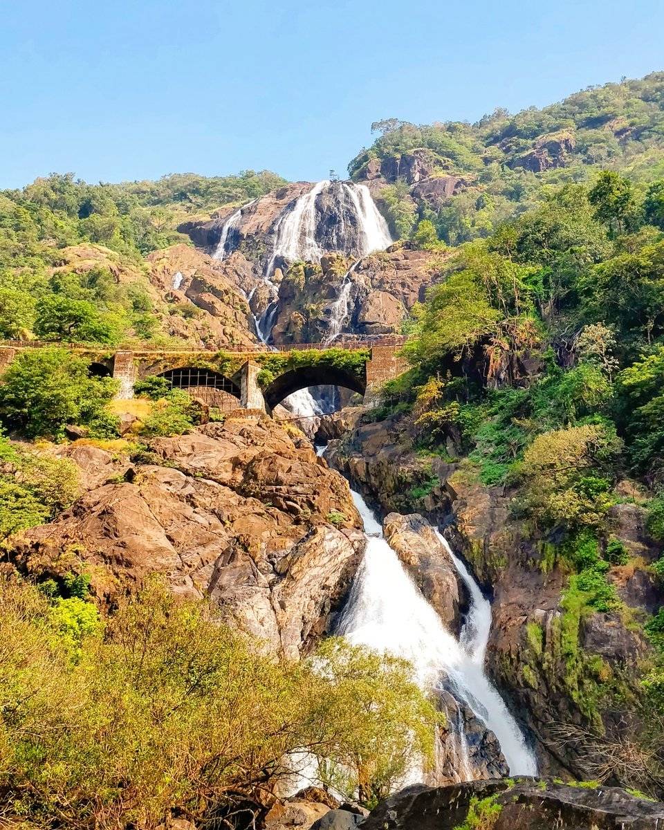 Dudhsagar falls - dudhsagar falls - abcdef.wiki