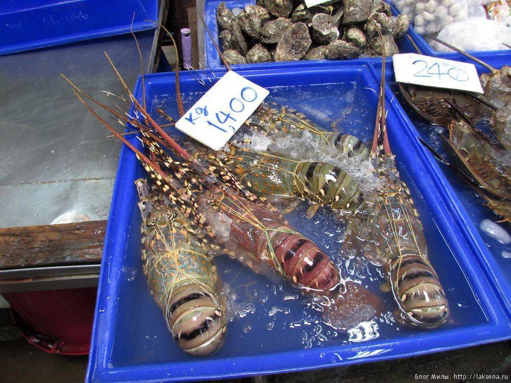 Рыбная промышленность таиланда - fishing industry in thailand - abcdef.wiki