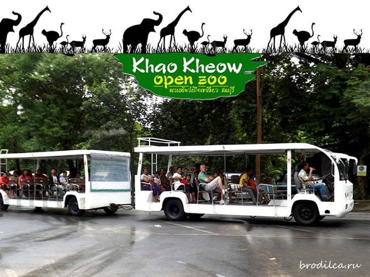 Транспорт какой до зоопарка. Зоопарк Кхао Кхео Паттайя. Зоопарк Кхао Кхео Паттайя на карте. Карта зоопарка Кхао Кхео. Гольфкар зоопарк Кхао Кхео.
