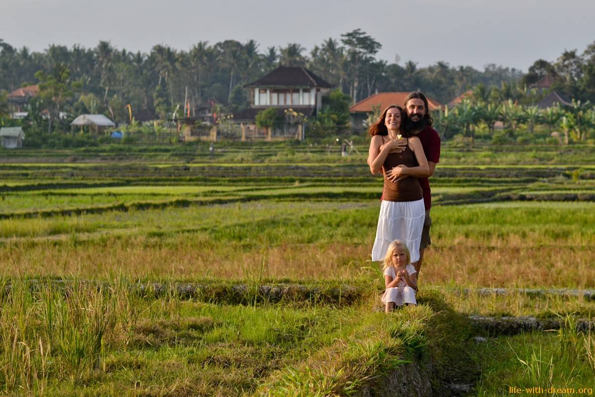Самые красивые рисовые террасы на бали | жизнь в путешествиях