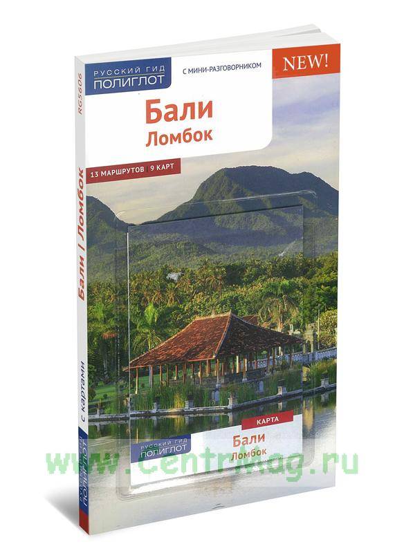 «молчал десять дней, написал книгу и стал разрабатывать ai для образования» — опыт релокации на бали | rusbase