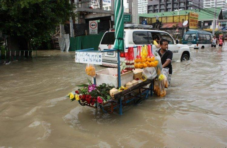 Когда ехать: особенности климатических сезонов в таиланде