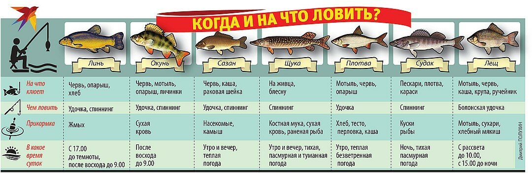 Рыбалка в европе