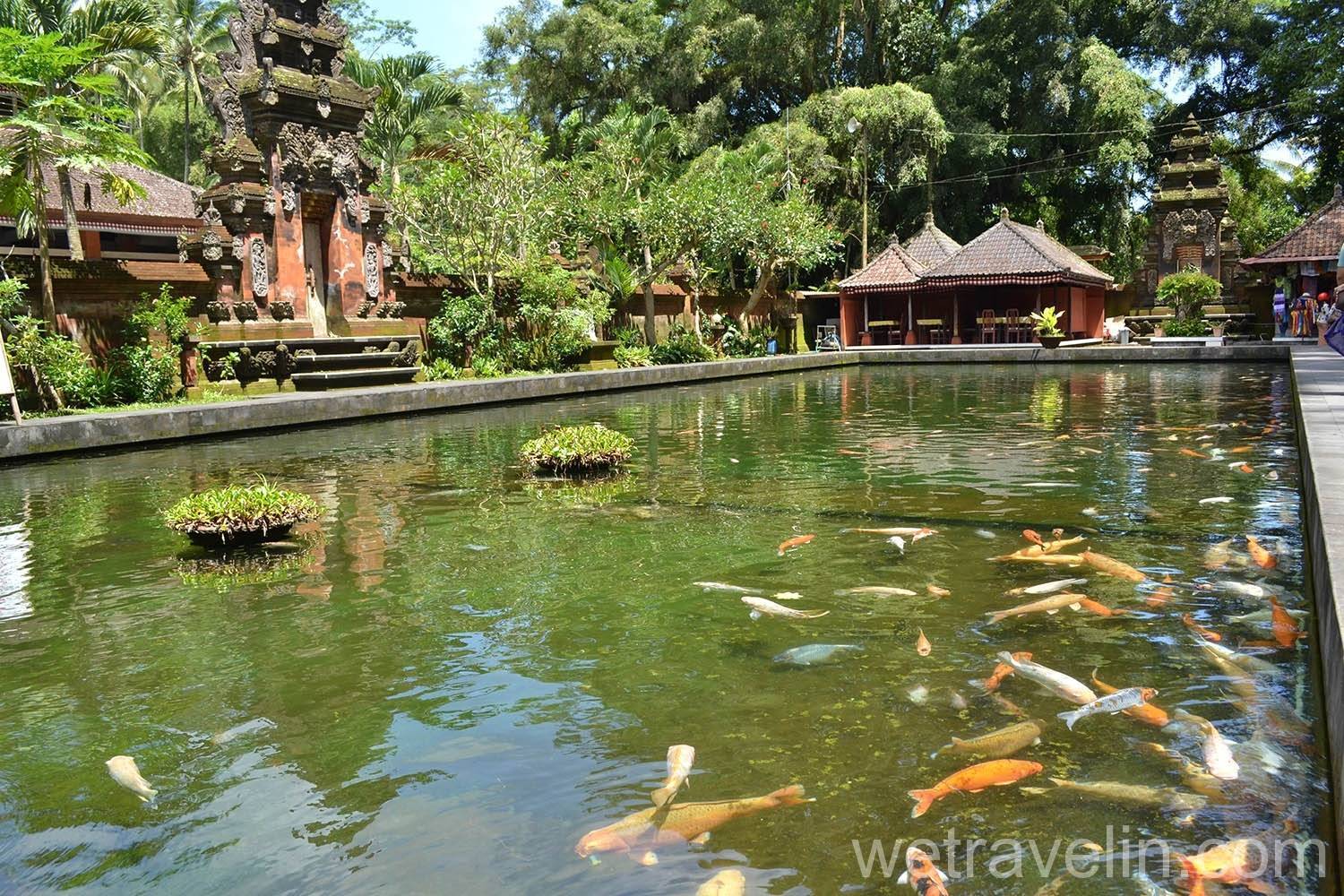 Свобода путешествий - 10 центр: бали