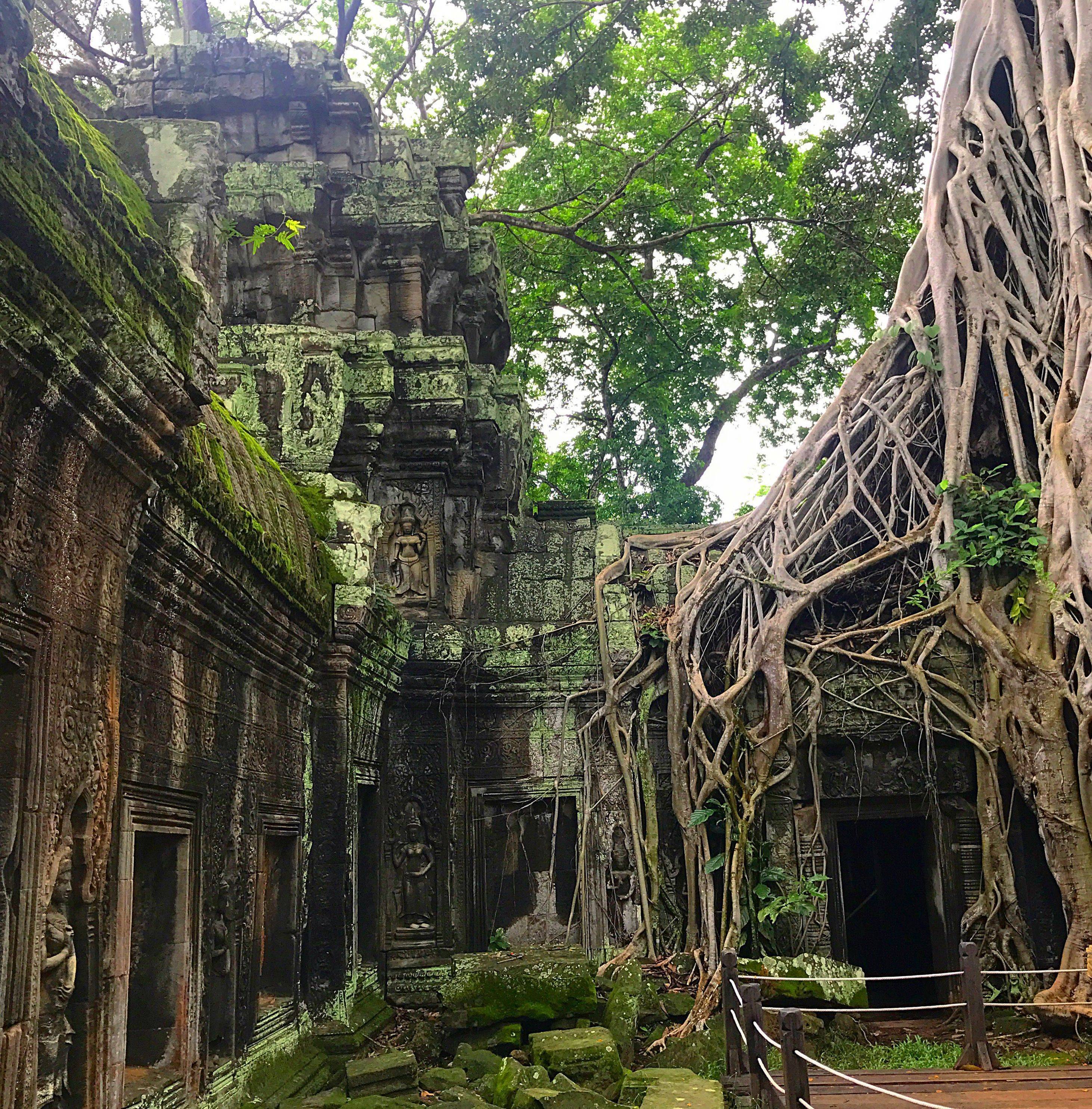 Что посмотреть в камбодже туристу - топ-5 достопримечательностей