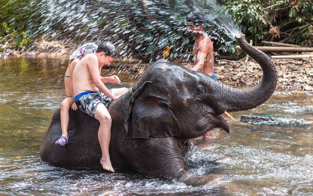 Экскурсия в национальный парк као лак (khao lak), таиланд - насыщенная, познавательная и развлекательная