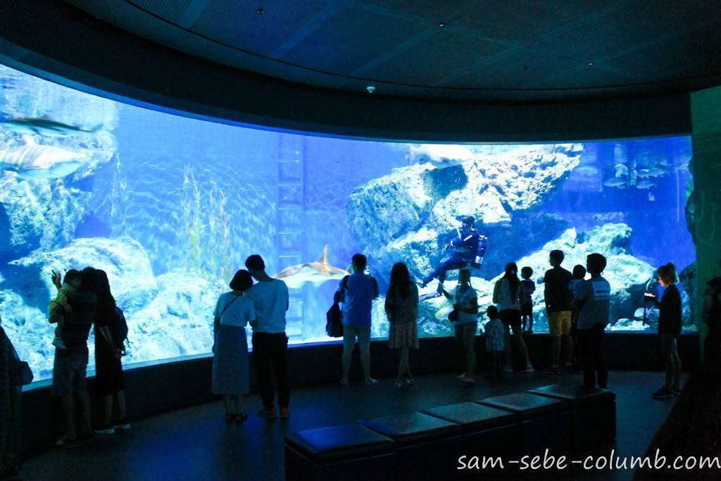 Океанариум бангкока sea life siam ocean world
