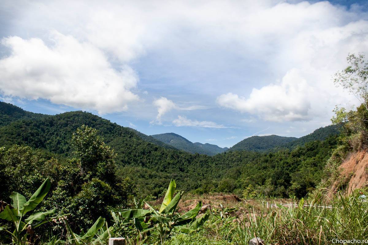 Высоко в горах вьетнама: экскурсия по канатной дороге на бана (ba na hills)
