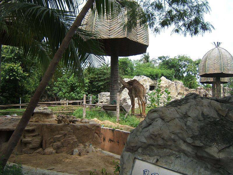 Стоит ли посещать зоопарк dusit zoo в бангкоке?