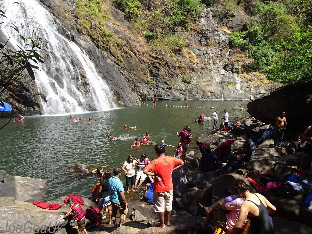 Водопад дудхсагар — жемчужина гоа и наша поездка на джипах по джунглям, индия