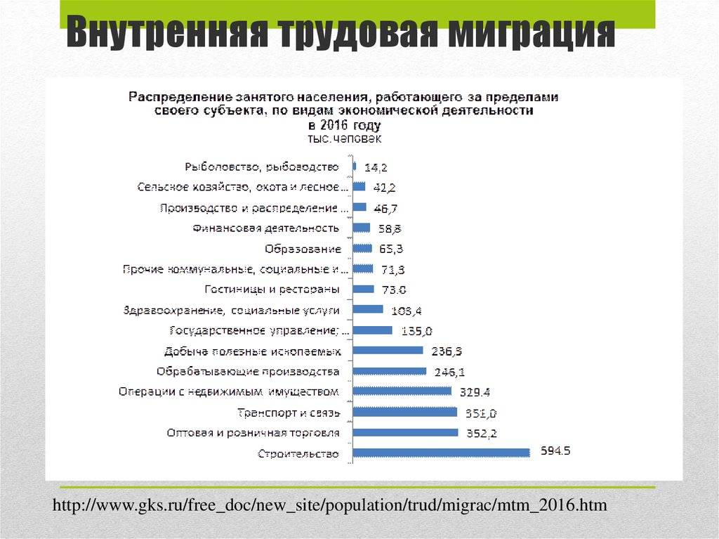 Статистическое изучение трудовой миграции презентация