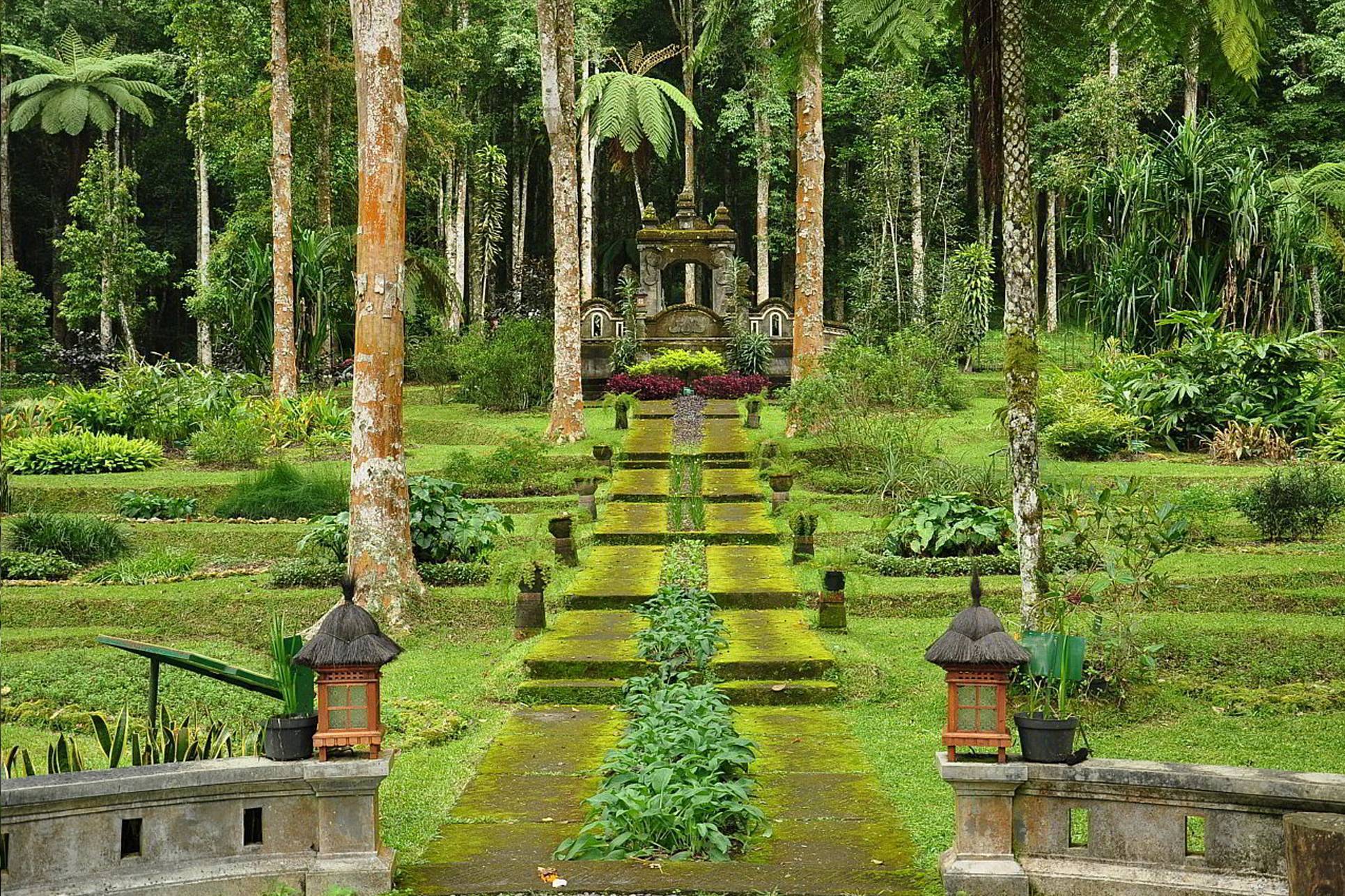 Ботанический сад на Бали - место для всей семьи