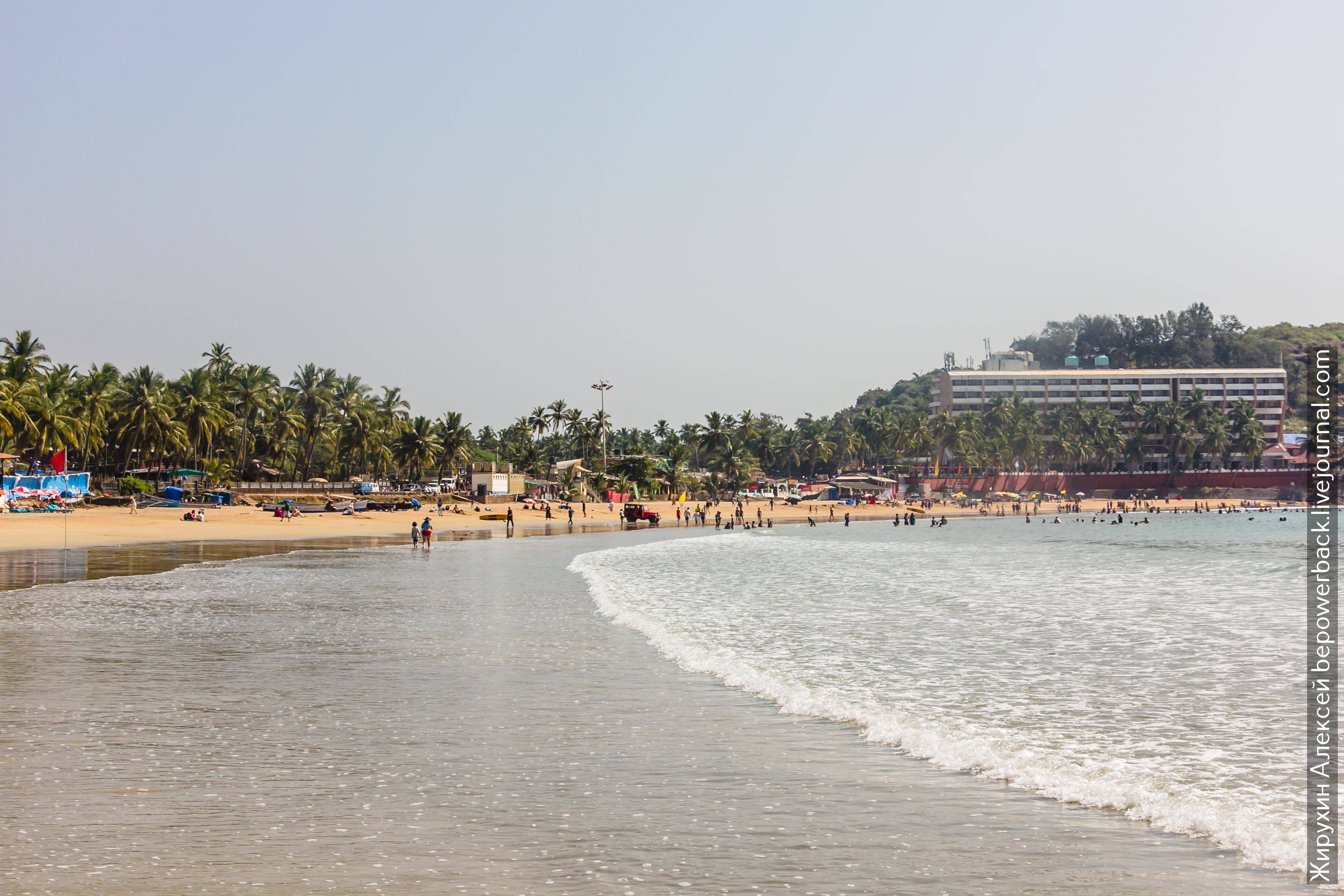 Кандолим, индия – самый чистый курорт гоа