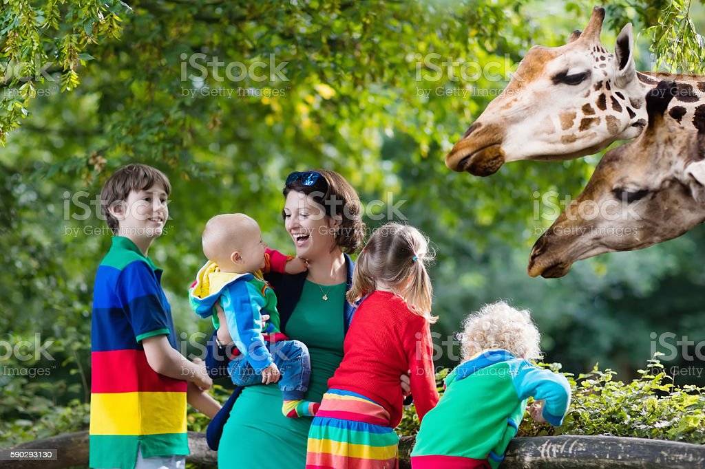 Зоопарк в мюнхене - путешествие по 5 континентам – так удобно!  traveltu.ru