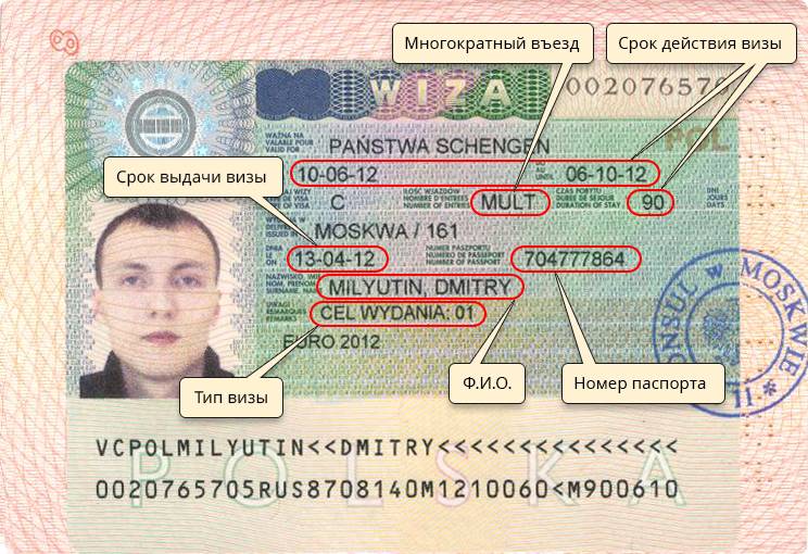 Как правильно читать шенгенскую визу?