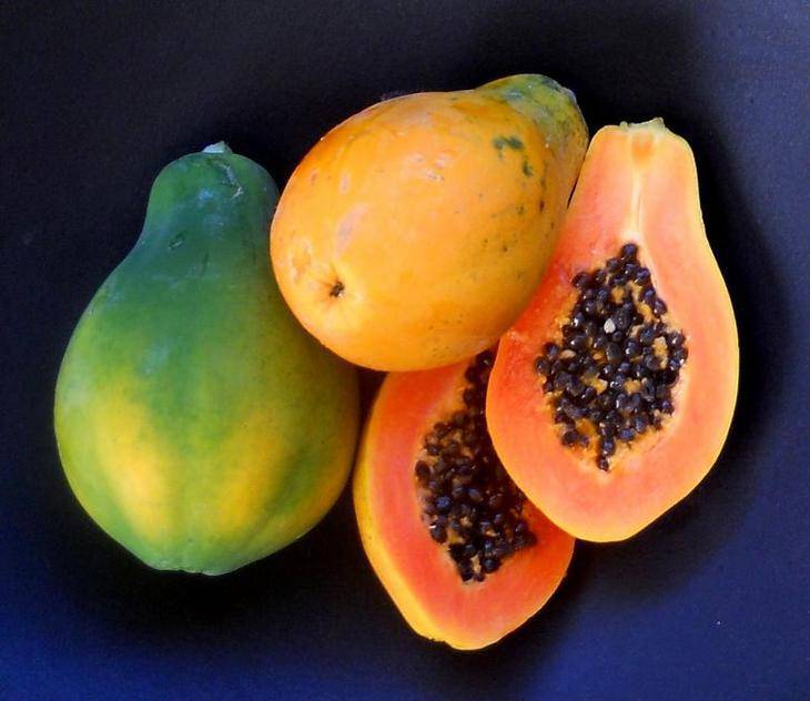 Как выглядят манго и папайя: фото и описание главных характеристик и отличий