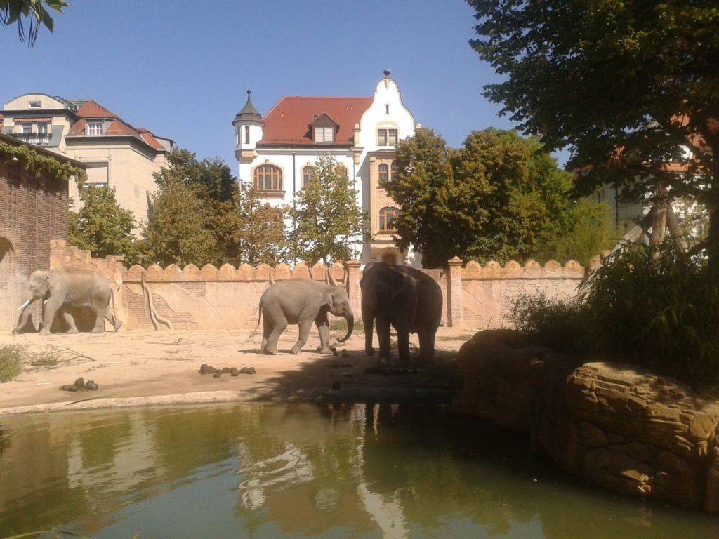 10 лучших зоопарков европы для ваших детей