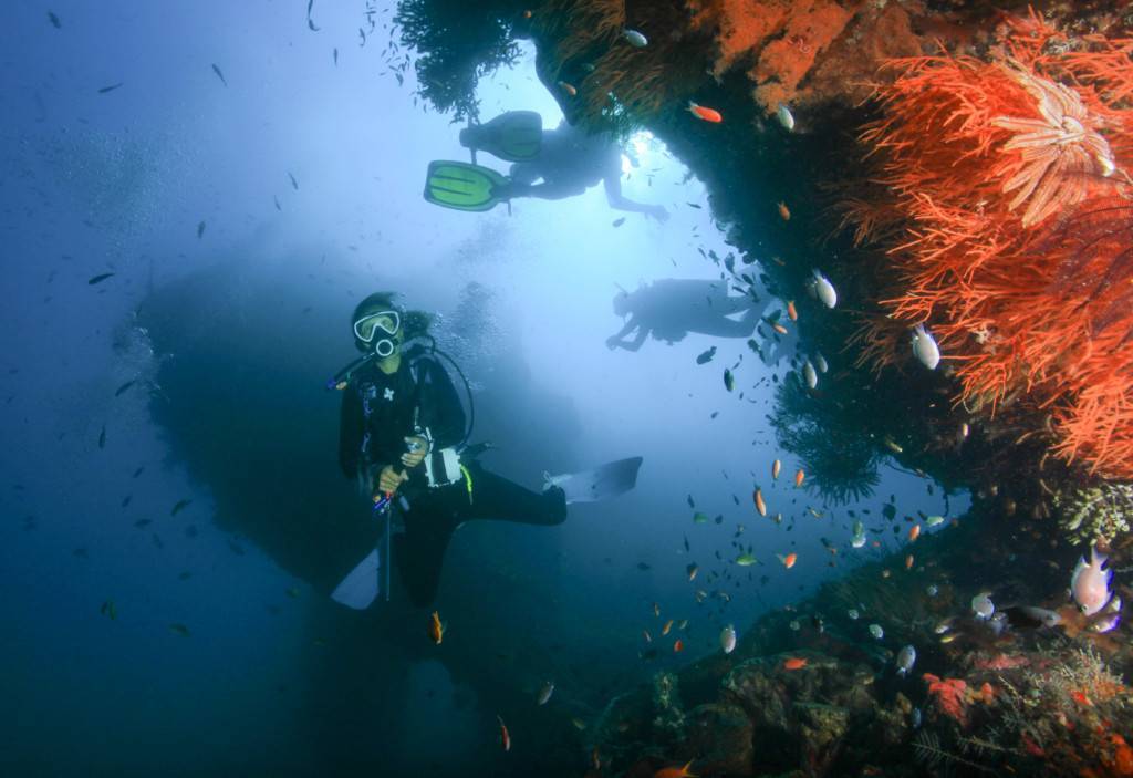 Дайвинг на Бали. Кристал бэй - жемчужина подводного мира.