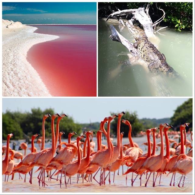 Розовые озера -эк-балам - рио-лагартос. экскурсия в канкуне, плая-дель-кармен, ривьера-майя, тулуме, акумаль, пуэрто морэлос. мексика