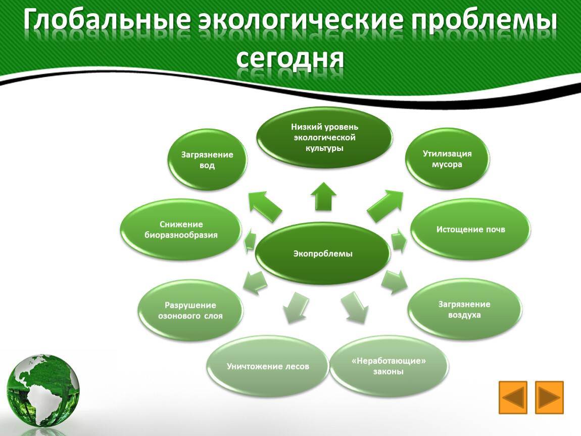 Важность реализации национальных проектов