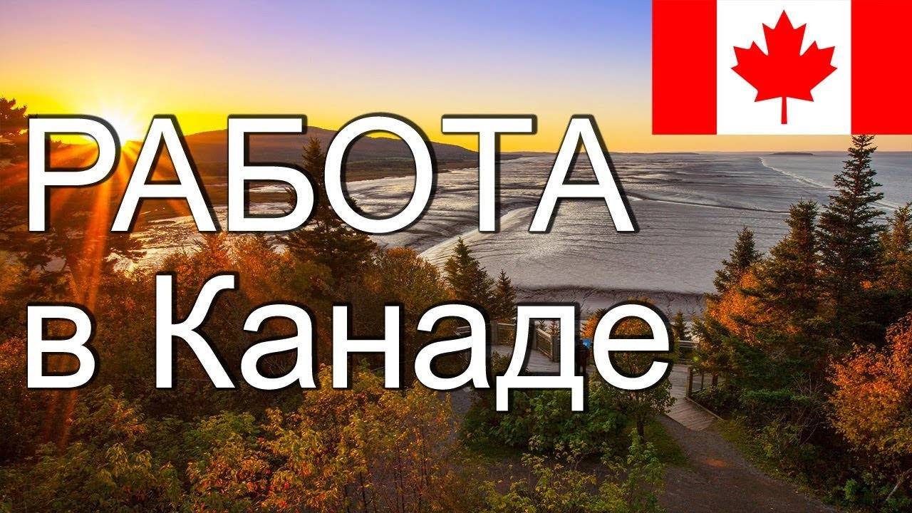 Подробно о поиске работы в канаде: способы, агентства, сайты вакансий