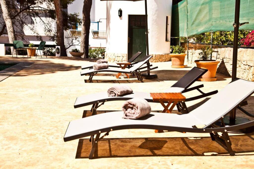 Кан пастилья майорка: курорт с песчаным пляжем рядом с пальмой