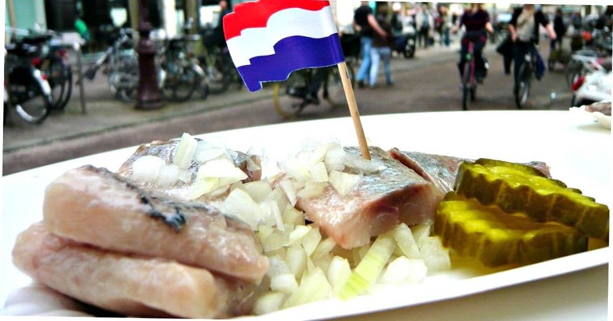 Как сэкономить на еде в нидерландах — 10 лайфхаков для туристов