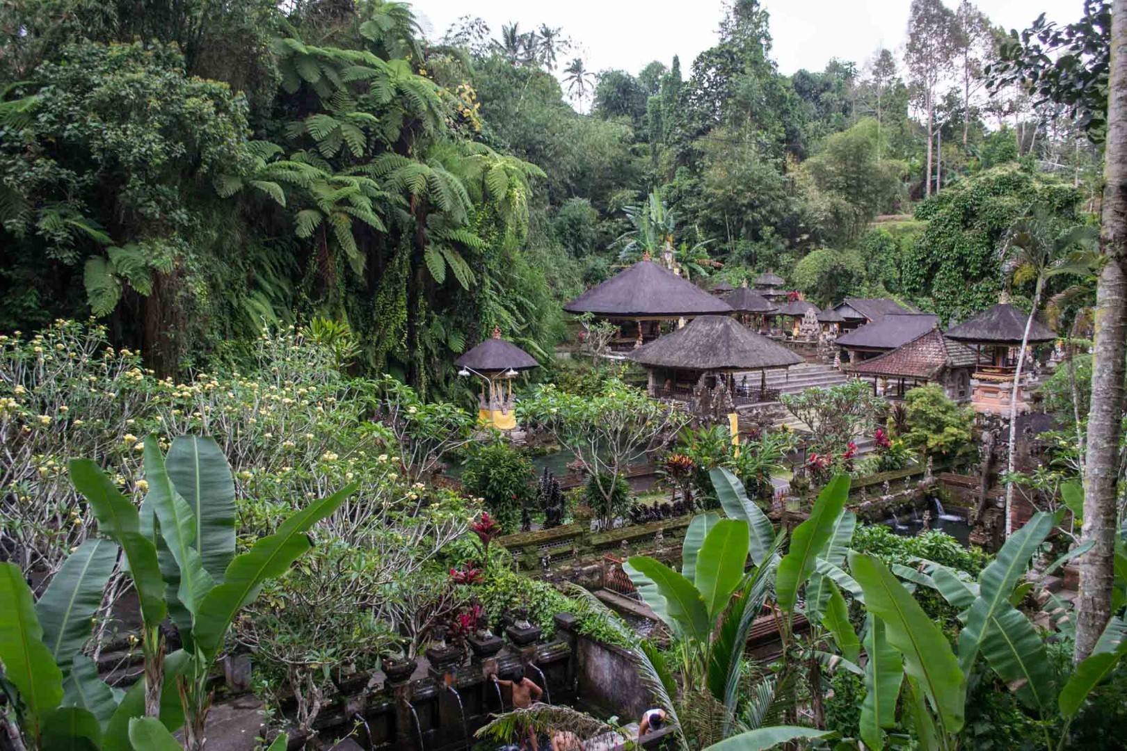 Убуд - город на бали (индонезия): фото и отзыв. что посмотреть в убуде, достопримечательности - 2022