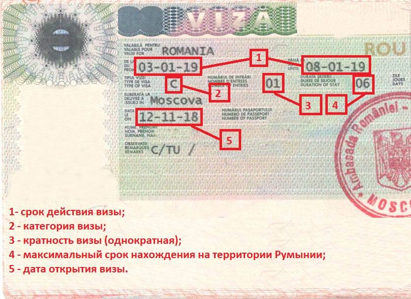 Паспорт румынии как окно в сша для граждан рф: заявление о безвизе в соединенные штаты для румын и прекращение выдачи американских виз россиянам