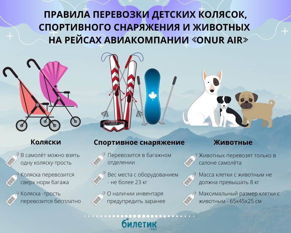 Перевозка детских колясок в ручной клади и багаже самолета