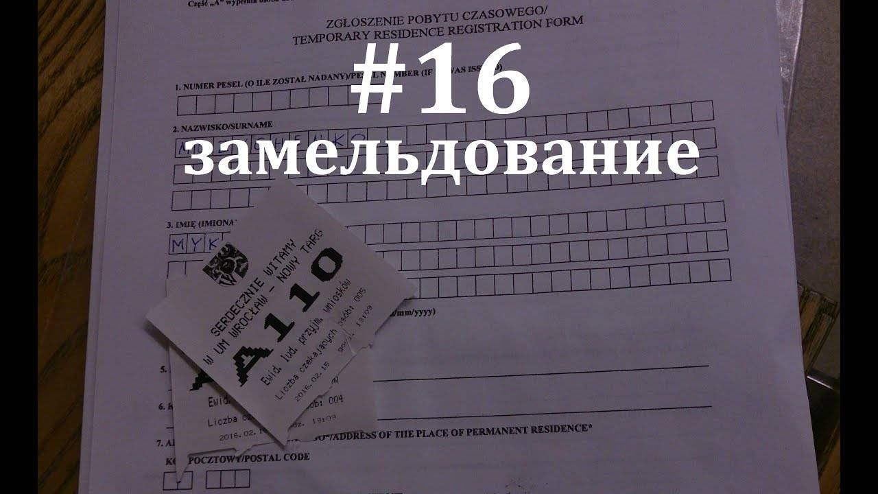 Переезд в польшу на пмж: основания для легальной иммиграции