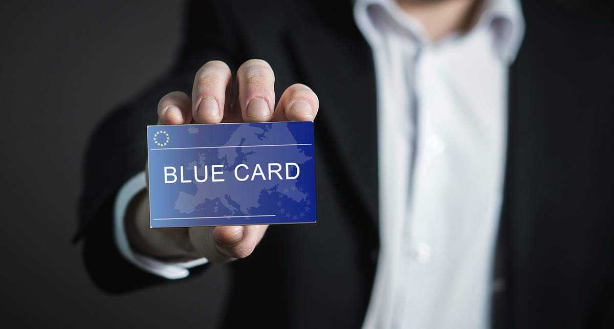 Blue card германия: все о получении карты для работы в германии