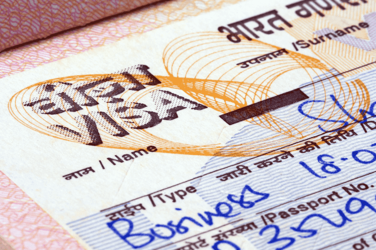 Виза в индию: виды въездных документов, необходимые документы, сроки и стоимость оформления